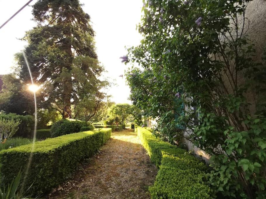 Charmant Studio Avec Jardin A La Campagne Sur Le Chemin De Saint Jacques De Compostelle Apartment Lauzerte Exterior photo