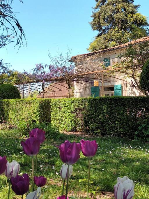 Charmant Studio Avec Jardin A La Campagne Sur Le Chemin De Saint Jacques De Compostelle Apartment Lauzerte Exterior photo